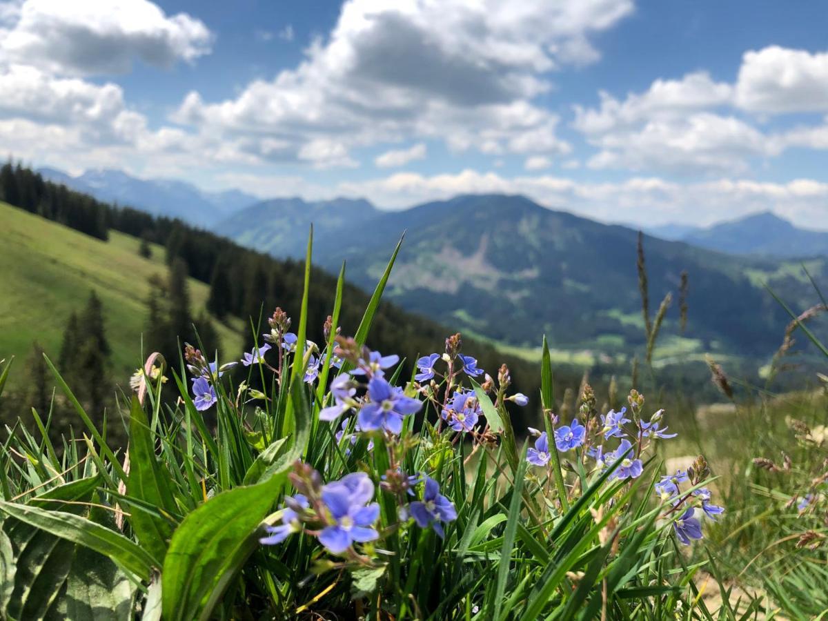 شقة Bergquell Tirol ينغولز المظهر الخارجي الصورة